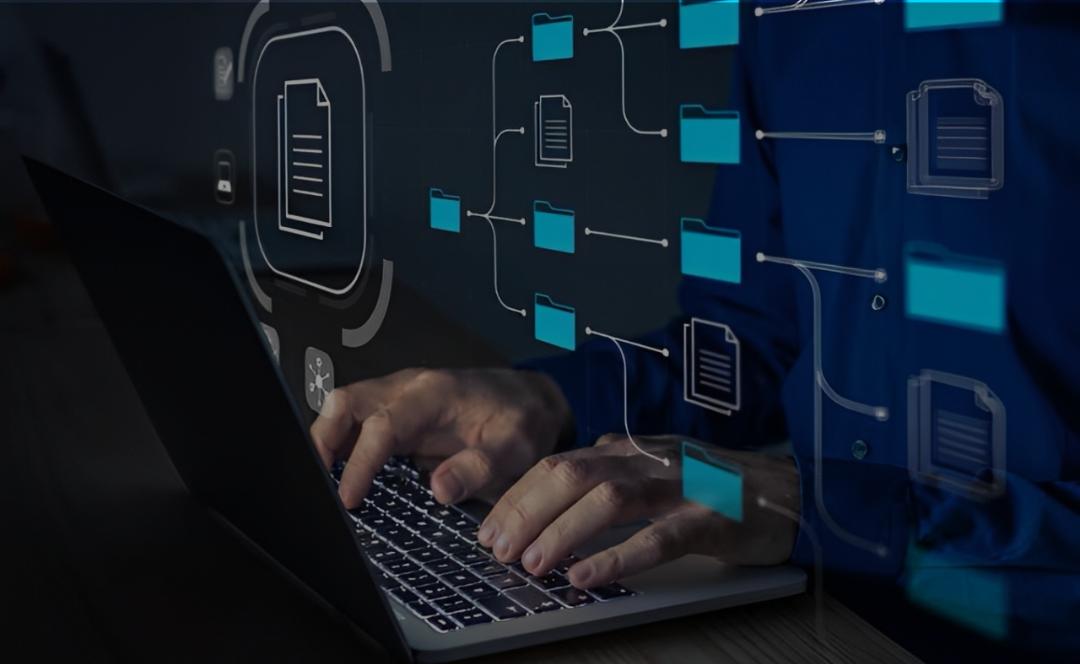 Core Dms Module WISDOM ERP — WABYS Integrated System for Didactics and Operation Management